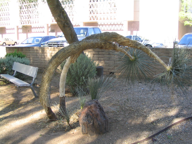 618x457 pixels (228K)